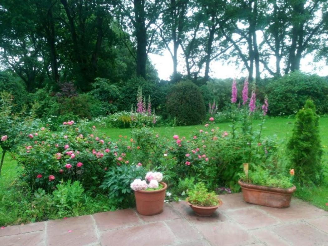 Idyl Daire Wiedenborstel Dış mekan fotoğraf